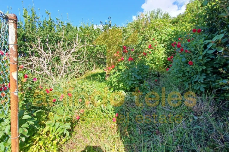 Moradia T4 para Venda em Velas (São Jorge) Foto 18