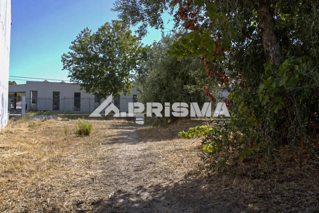 Terreno para Venda em Alcains Foto 11