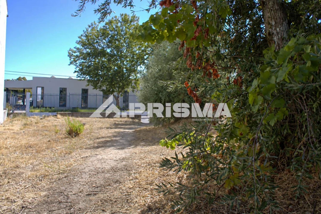 Terreno para Venda em Alcains Foto 9