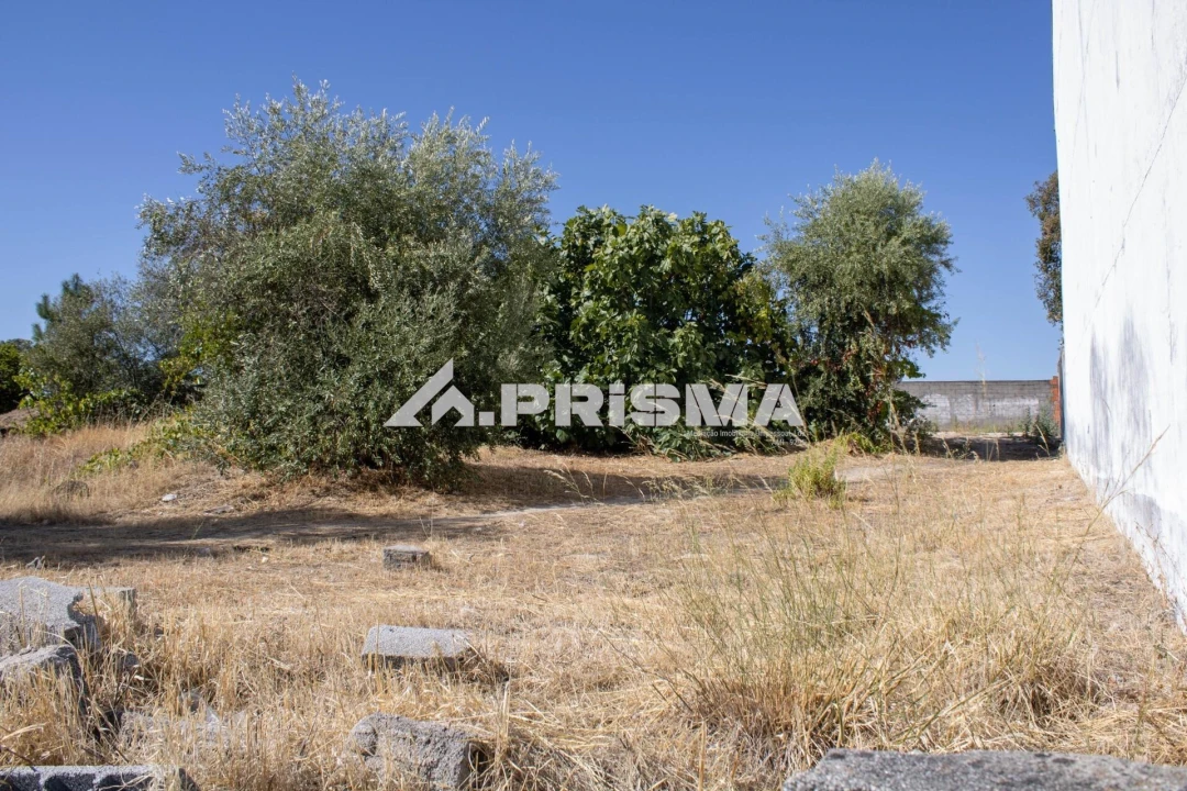 Terreno para Venda em Alcains Foto 2