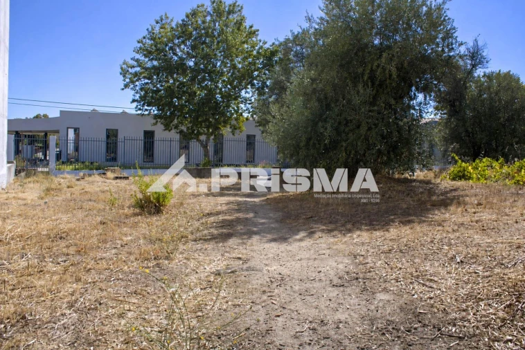 Terreno para Venda em Alcains Foto 3