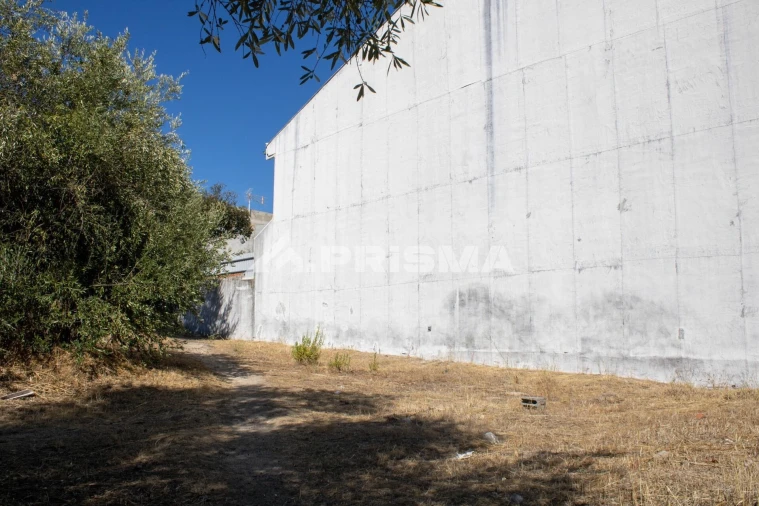 Terreno para Venda em Alcains Foto 6