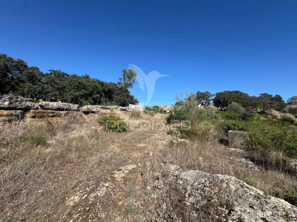 Terreno para Venda em Nossa Senhora das Misericordias Foto 5