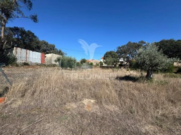 Terreno para Venda em Nossa Senhora das Misericordias