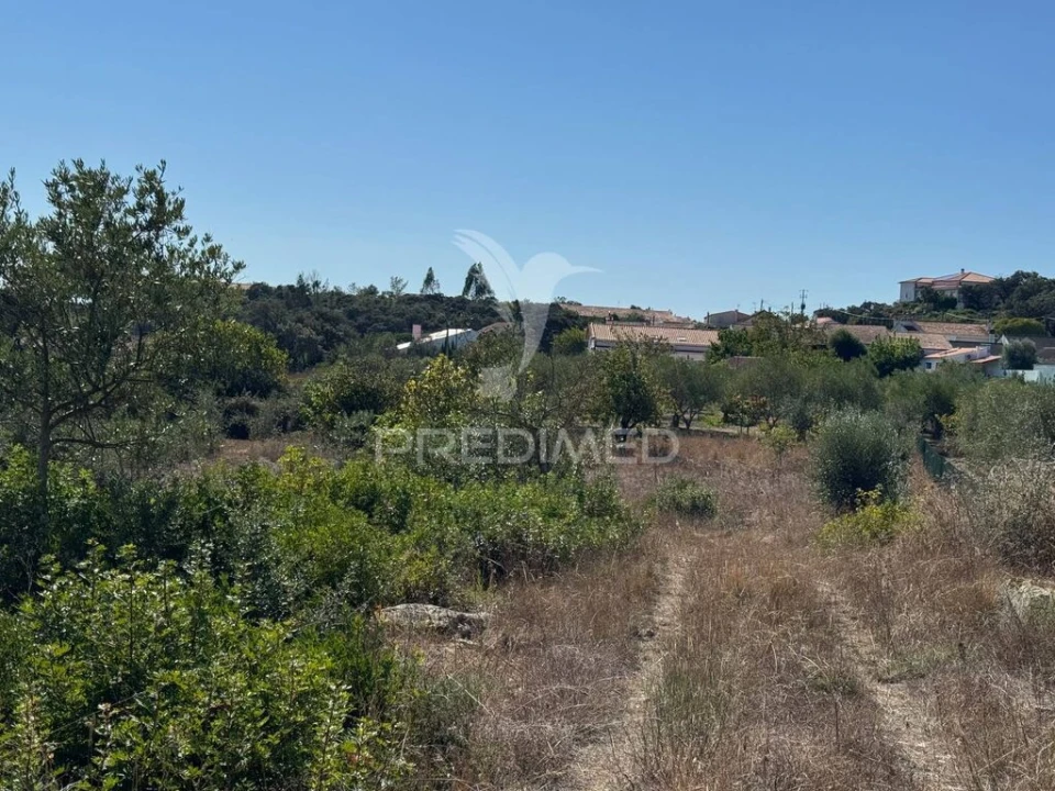 Terreno para Venda em Nossa Senhora das Misericordias Foto 7