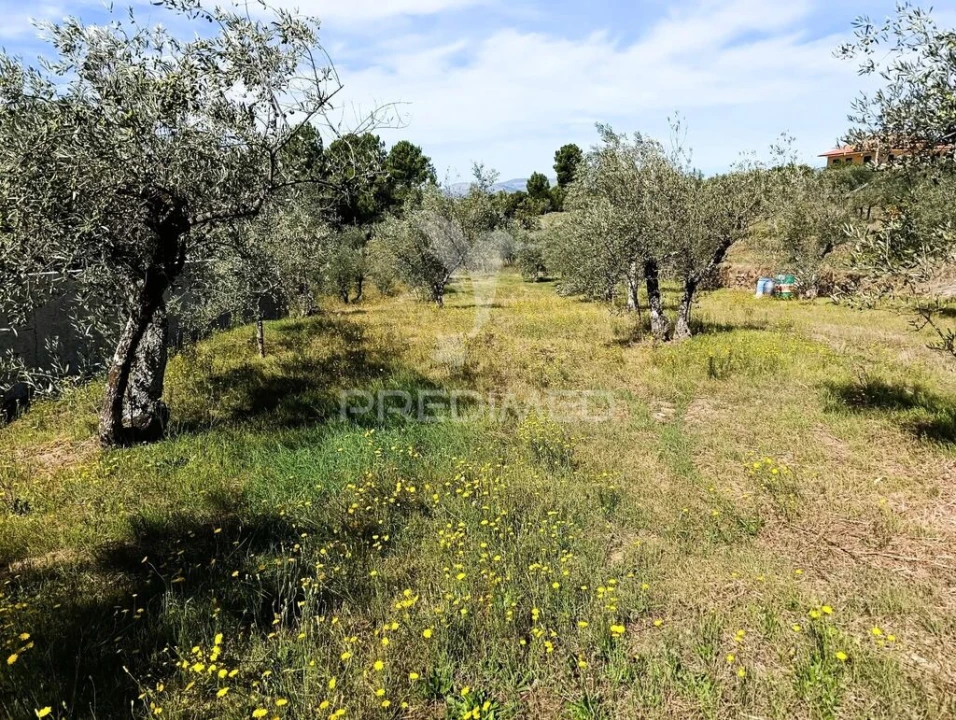 Terreno para Venda em Adoufe e Vilarinho de Samardã Foto 3