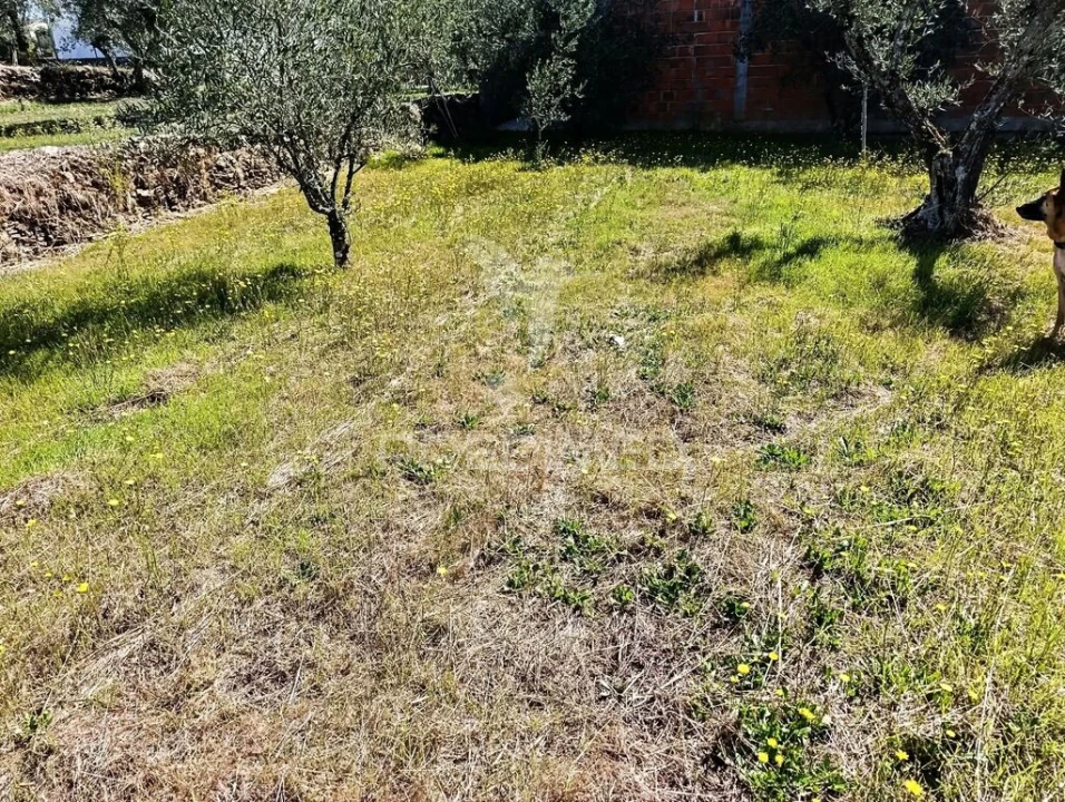 Terreno para Venda em Adoufe e Vilarinho de Samardã Foto 9