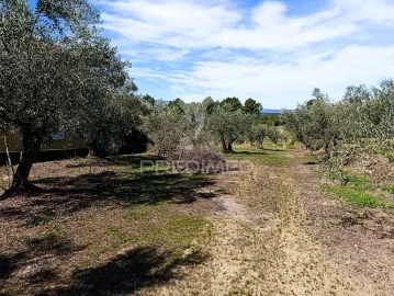 Terreno para Venda em Adoufe e Vilarinho de Samardã
