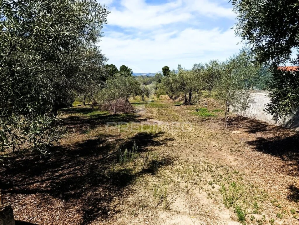 Terreno para Venda em Adoufe e Vilarinho de Samardã Foto 7