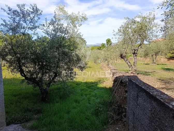 Terreno para Venda em Adoufe e Vilarinho de Samardã Foto 8