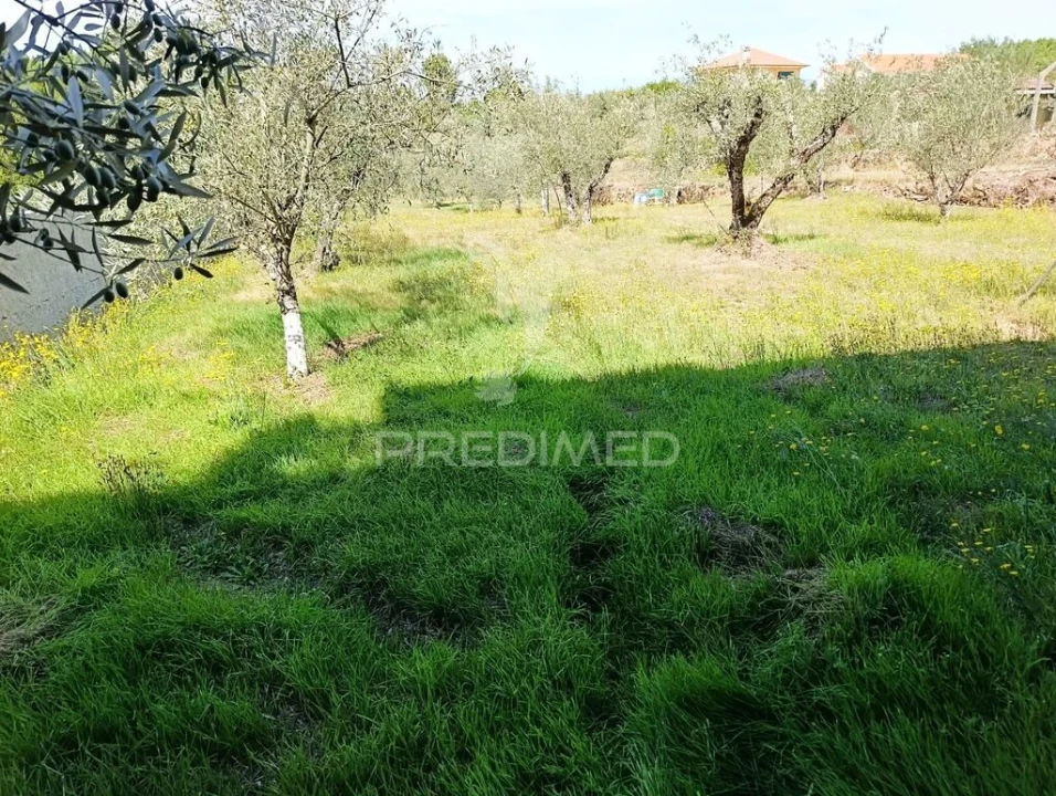 Terreno para Venda em Adoufe e Vilarinho de Samardã Foto 6