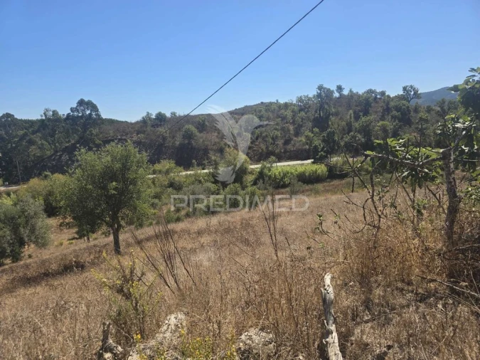 Quinta T1 para Venda em Saboia Foto 17