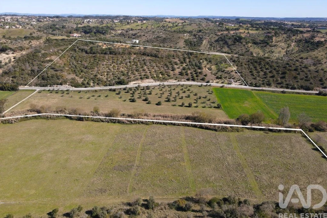 Quinta T4 para Venda em Torres Novas (São Pedro), Lapas e Ribeira Branca Foto 35