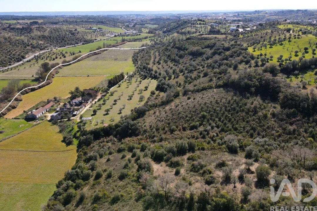 Quinta T4 para Venda em Torres Novas (São Pedro), Lapas e Ribeira Branca Foto 33
