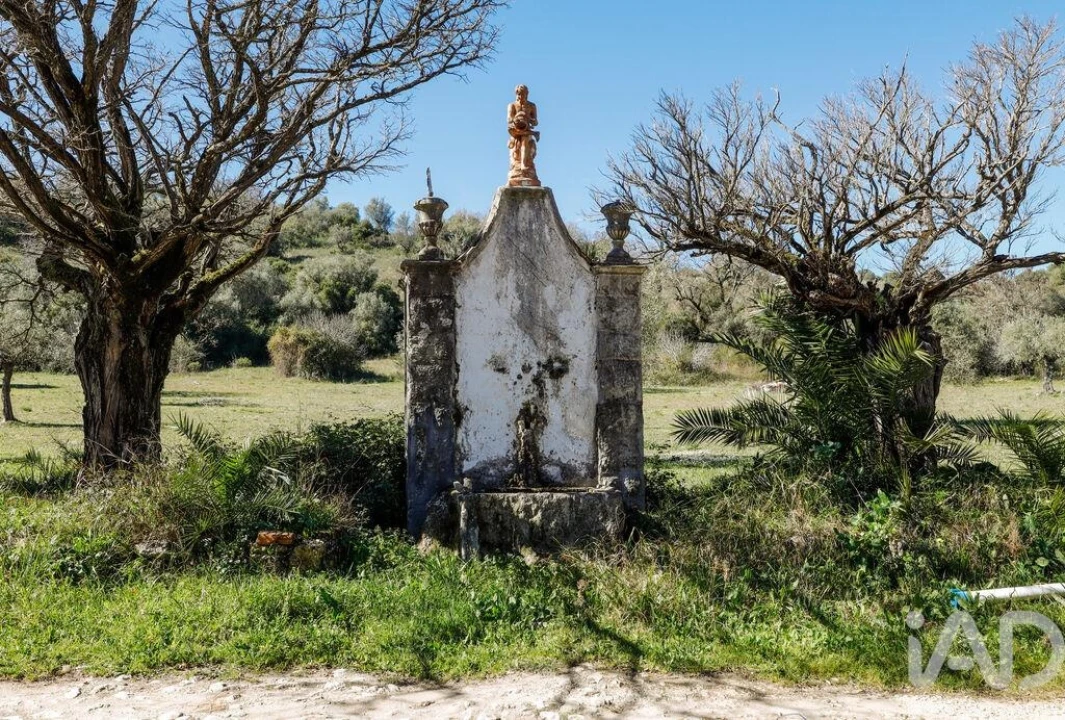 Quinta T4 para Venda em Torres Novas (São Pedro), Lapas e Ribeira Branca Foto 20