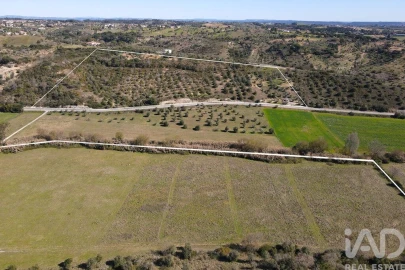 Quinta T4 para Venda em Torres Novas (São Pedro), Lapas e Ribeira Branca