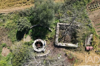 Quinta T4 para Venda em Torres Novas (São Pedro), Lapas e Ribeira Branca