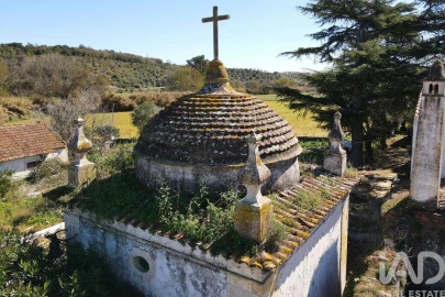 Quinta T4 para Venda em Torres Novas (São Pedro), Lapas e Ribeira Branca