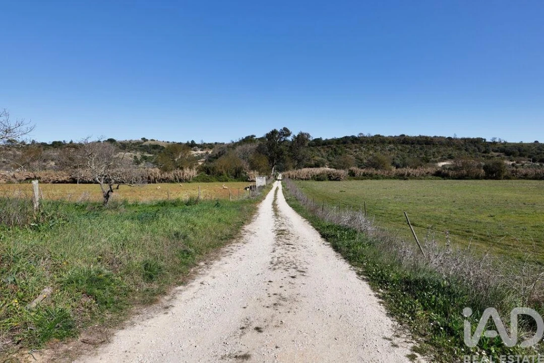 Quinta T4 para Venda em Torres Novas (São Pedro), Lapas e Ribeira Branca Foto 36