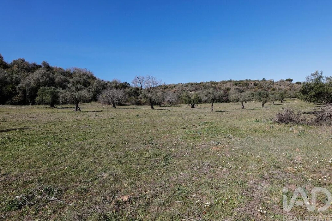 Quinta T4 para Venda em Torres Novas (São Pedro), Lapas e Ribeira Branca Foto 32
