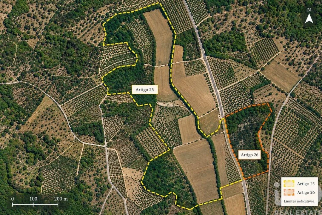 Quinta T4 para Venda em Torres Novas (São Pedro), Lapas e Ribeira Branca Foto 40