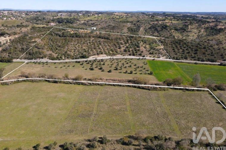 Quinta T4 para Venda em Torres Novas (São Pedro), Lapas e Ribeira Branca Foto 35