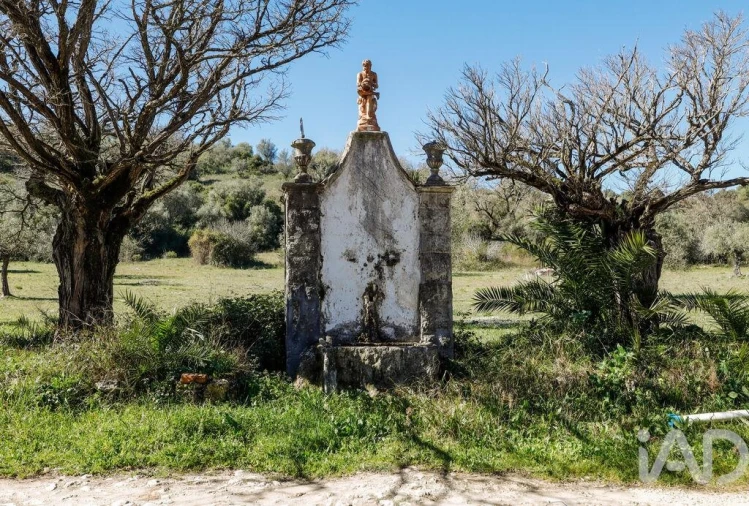 Quinta T4 para Venda em Torres Novas (São Pedro), Lapas e Ribeira Branca Foto 20