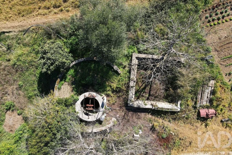 Quinta T4 para Venda em Torres Novas (São Pedro), Lapas e Ribeira Branca Foto 29