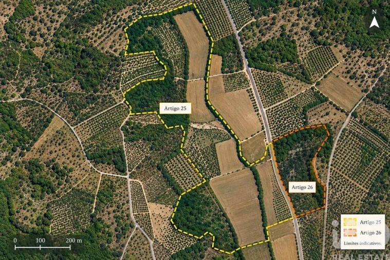Quinta T4 para Venda em Torres Novas (São Pedro), Lapas e Ribeira Branca Foto 40