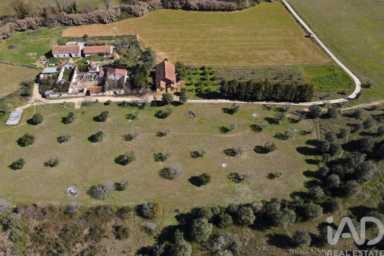Quinta T4 para Venda em Torres Novas (São Pedro), Lapas e Ribeira Branca Foto 2
