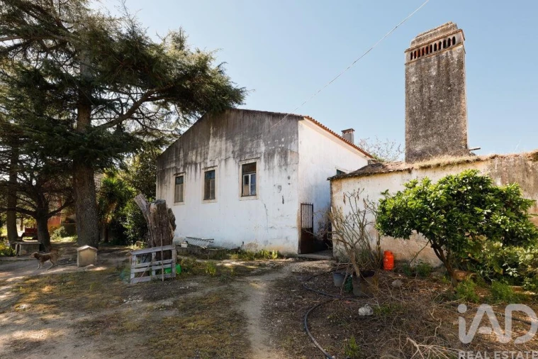 Quinta T4 para Venda em Torres Novas (São Pedro), Lapas e Ribeira Branca Foto 28