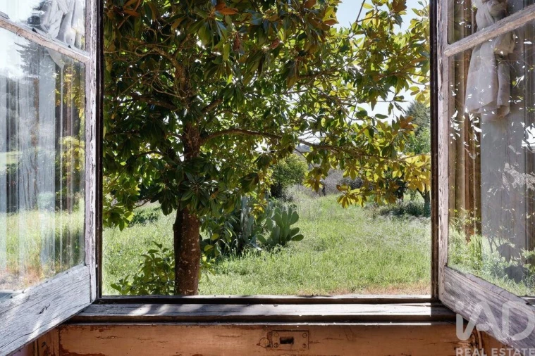Quinta T4 para Venda em Torres Novas (São Pedro), Lapas e Ribeira Branca Foto 15