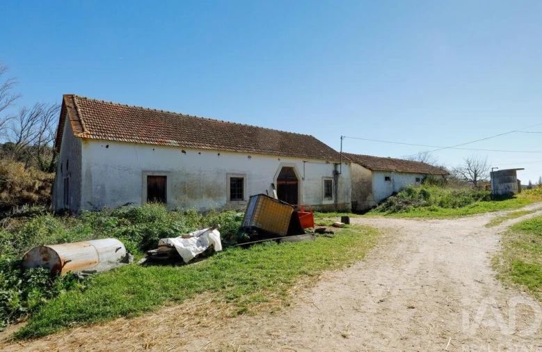 Quinta T4 para Venda em Torres Novas (São Pedro), Lapas e Ribeira Branca Foto 25
