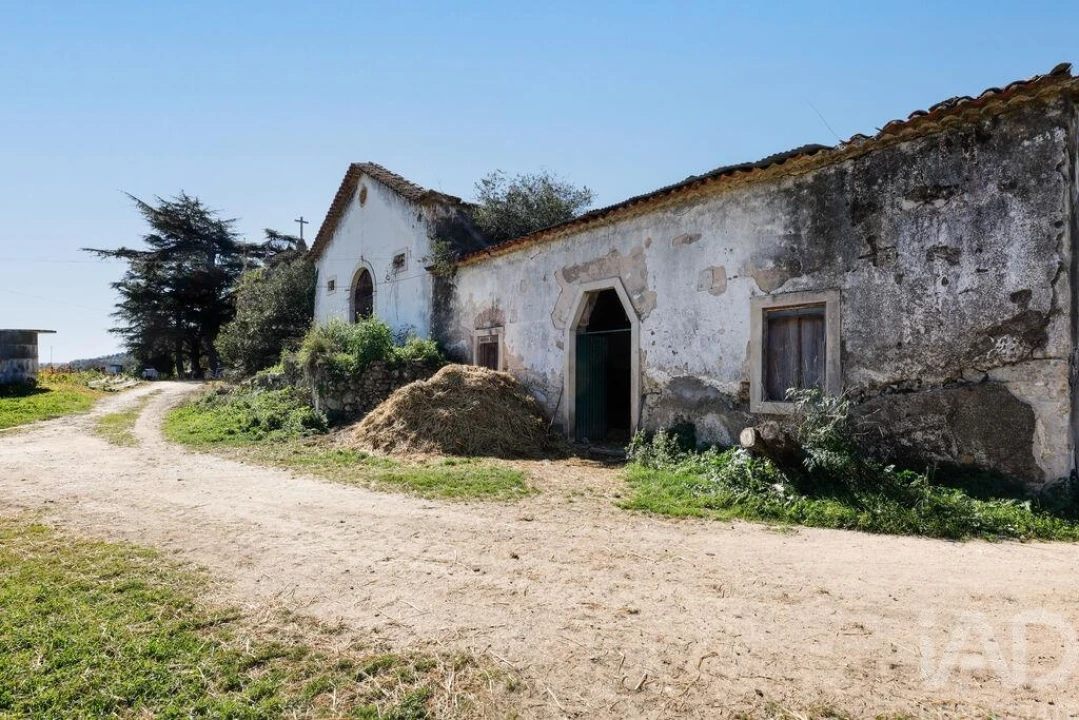 Quinta T4 para Venda em Torres Novas (São Pedro), Lapas e Ribeira Branca Foto 26
