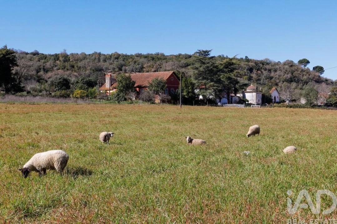 Quinta T4 para Venda em Torres Novas (São Pedro), Lapas e Ribeira Branca Foto 38