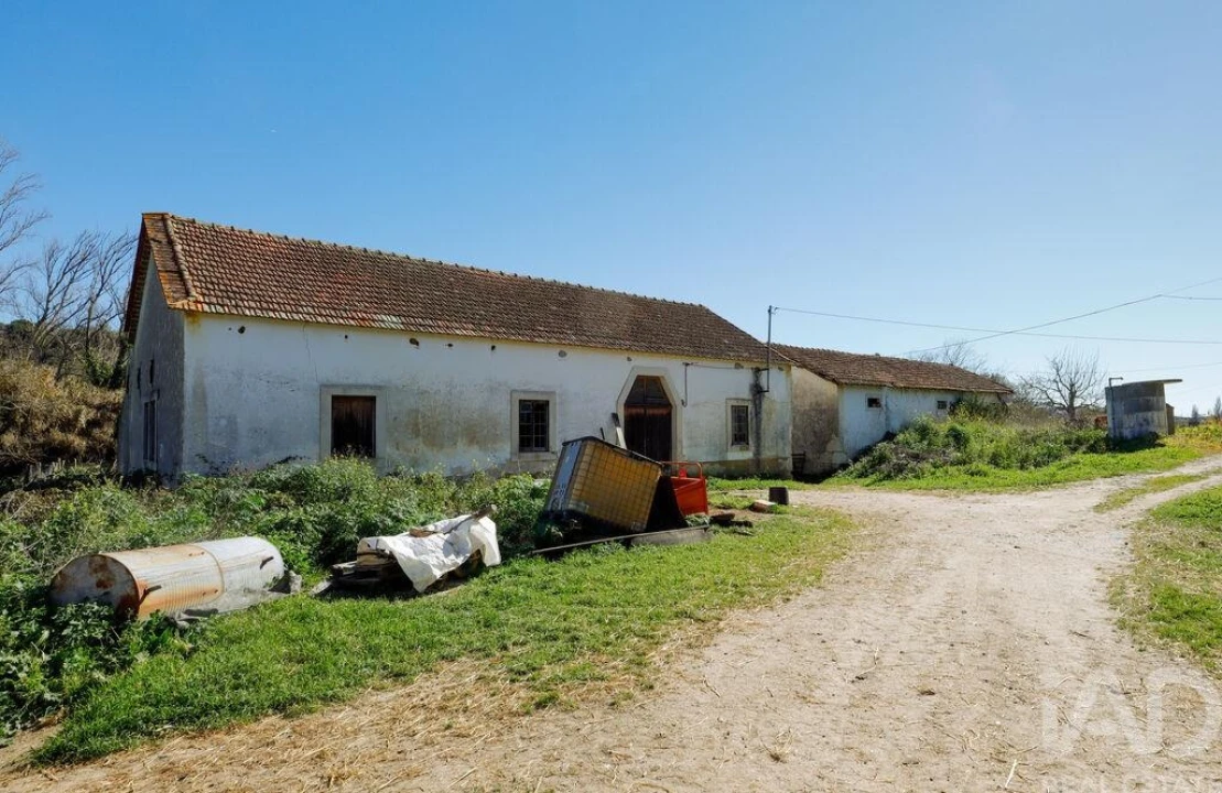 Quinta T4 para Venda em Torres Novas (São Pedro), Lapas e Ribeira Branca Foto 25