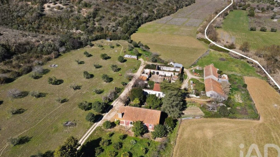 Quinta T4 para Venda em Torres Novas (São Pedro), Lapas e Ribeira Branca