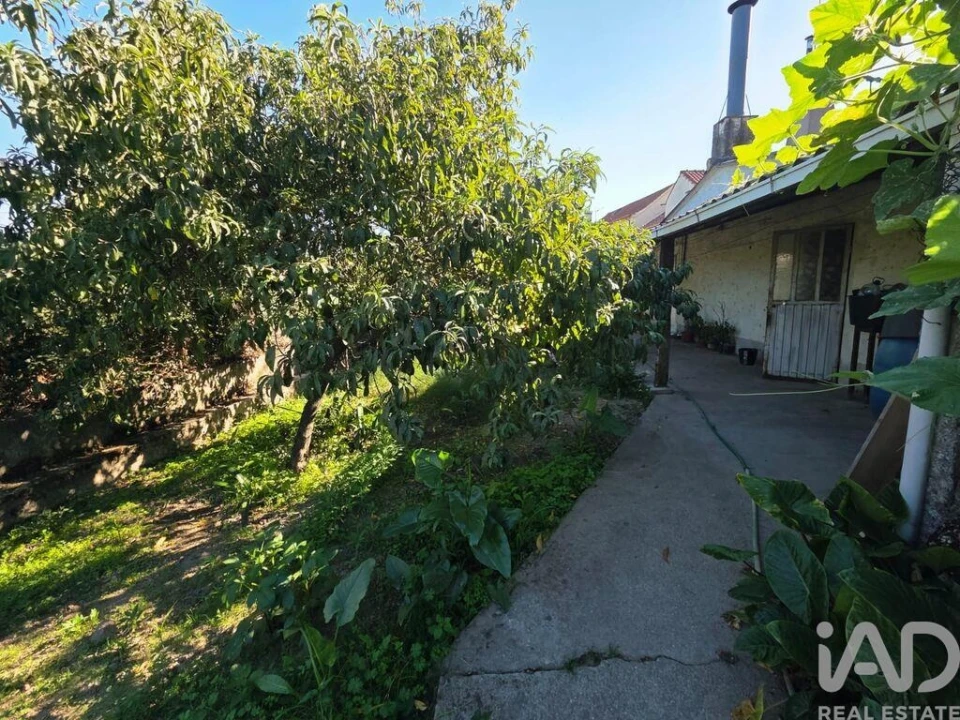 Moradia T4 para Venda em São João de Areias Foto 35