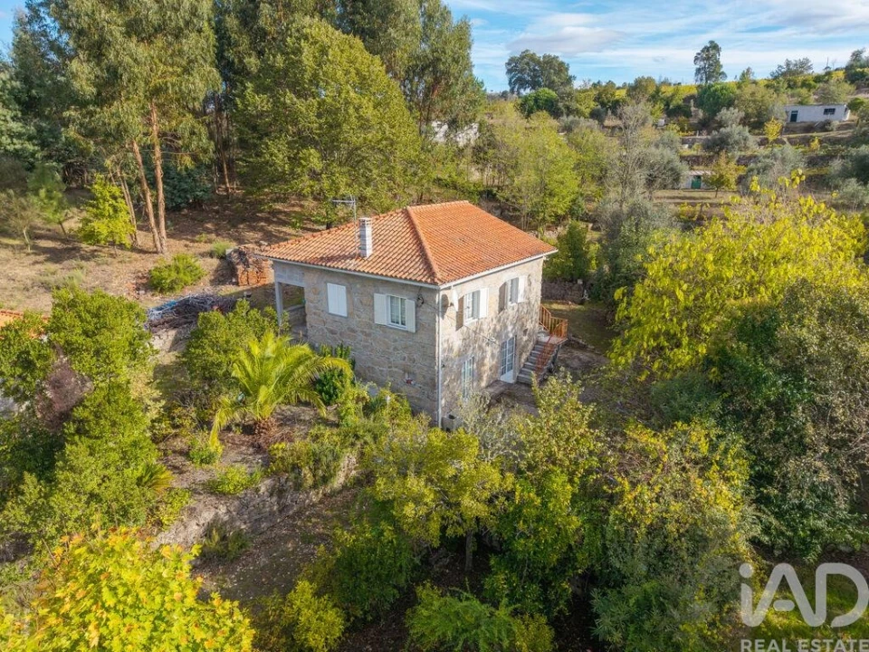 Quinta para Venda em Mangualde, Mesquitela e Cunha Alta Foto 34