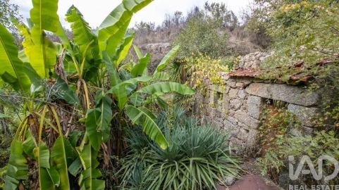 Quinta para Venda em Mangualde, Mesquitela e Cunha Alta