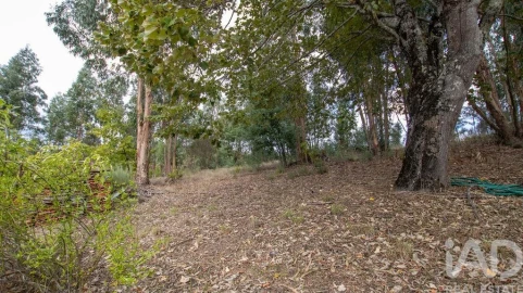 Quinta para Venda em Mangualde, Mesquitela e Cunha Alta