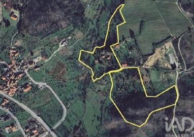 Quinta para Venda em Mangualde, Mesquitela e Cunha Alta
