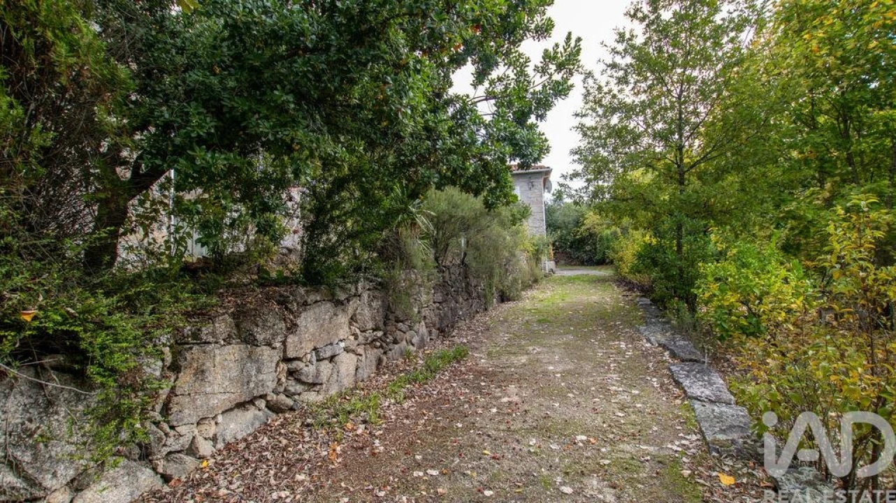 Quinta para Venda em Mangualde, Mesquitela e Cunha Alta Foto 27