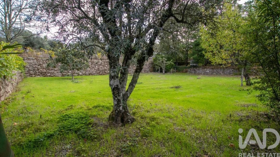 Quinta para Venda em Mangualde, Mesquitela e Cunha Alta Foto 24