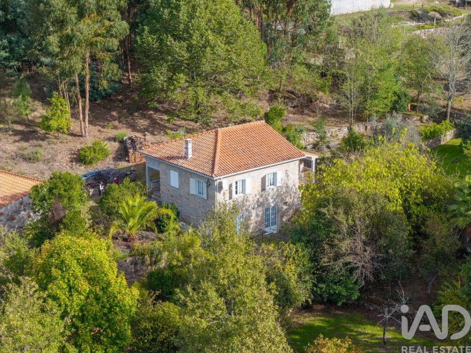 Quinta para Venda em Mangualde, Mesquitela e Cunha Alta Foto 1