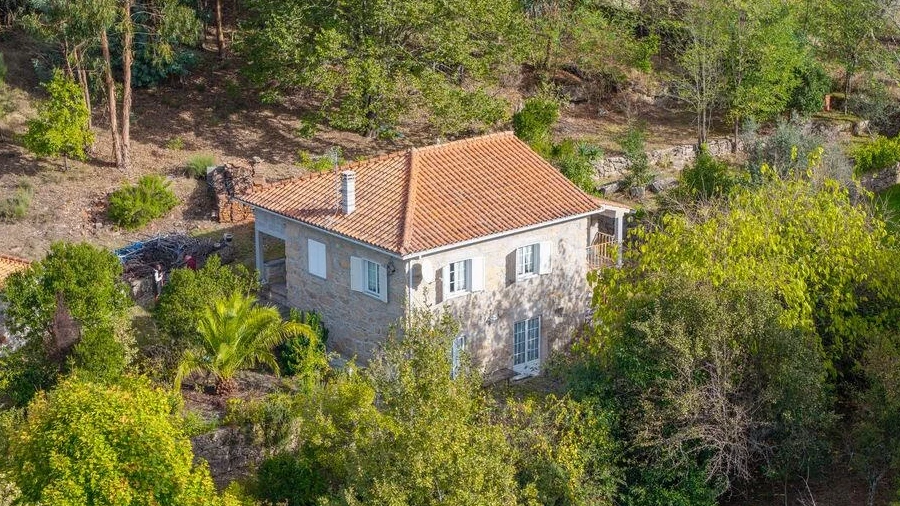 Quinta para Venda em Mangualde, Mesquitela e Cunha Alta