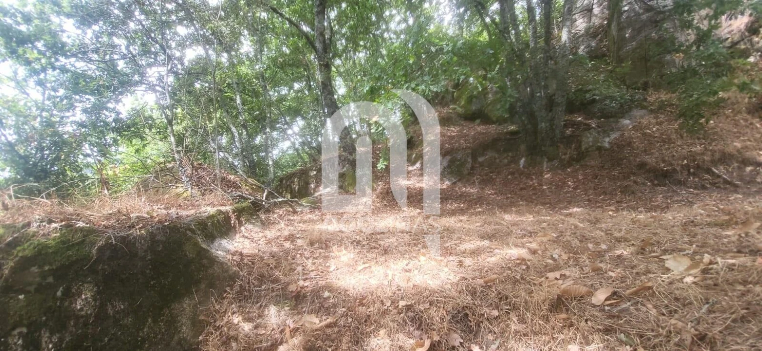 Moradia T5 para Venda em Valadares Foto 32
