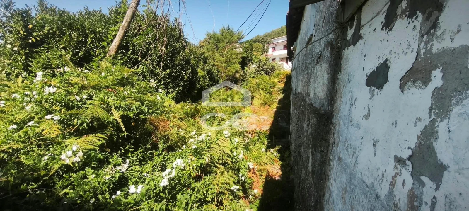Moradia para Venda em Caldas de Vizela (São Miguel e São João) Foto 10