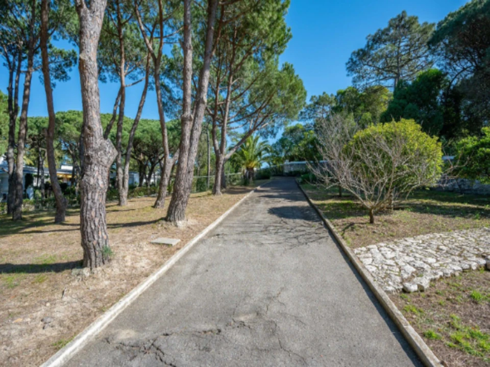 Moradia T6 para Venda em Cascais e Estoril Foto 12