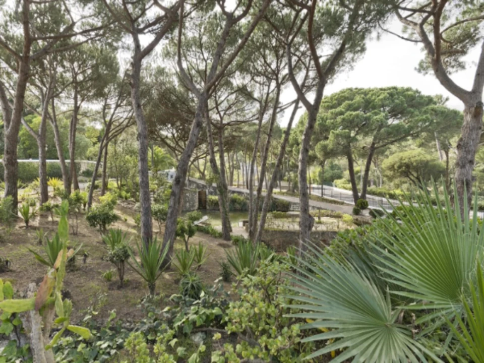 Moradia T6 para Venda em Cascais e Estoril Foto 8